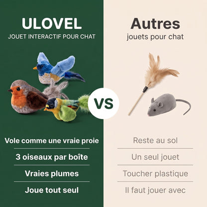 Oiseau volant interactif pour chat