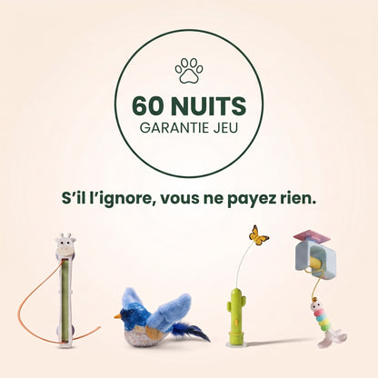 Oiseau volant interactif pour chat