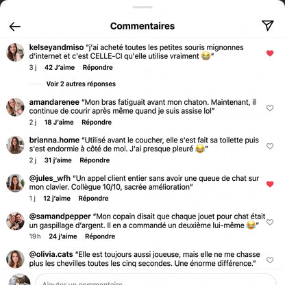 Oiseau volant interactif pour chat