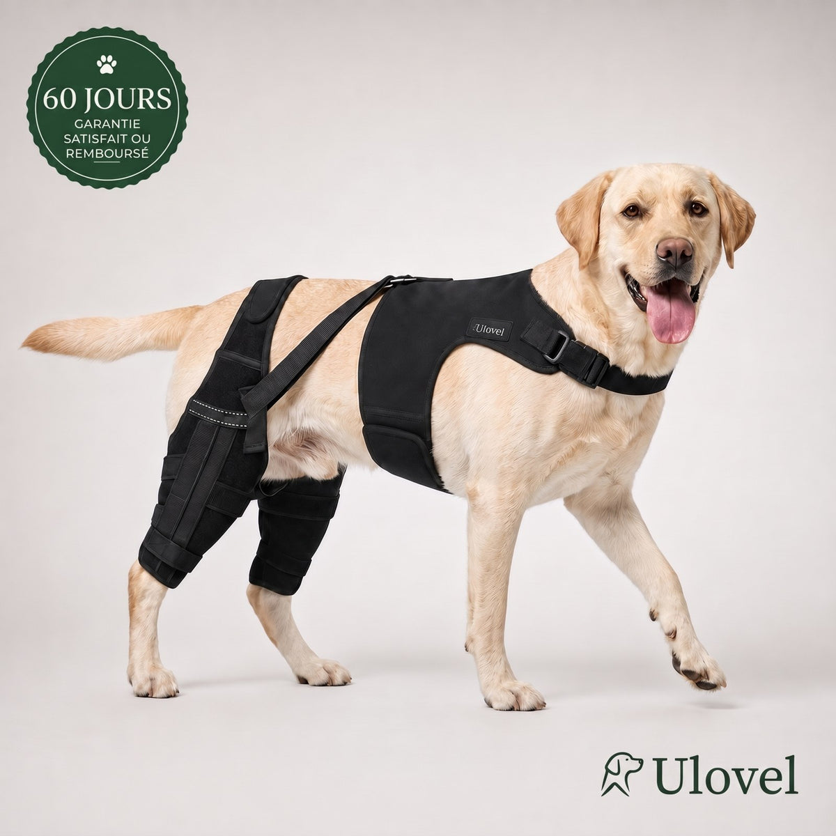 Genouillère double pour chien