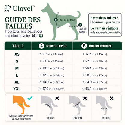 Genouillère double pour chien
