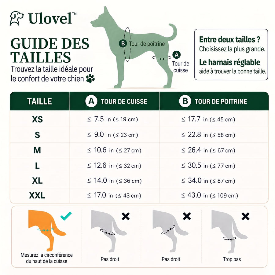 Guide des tailles