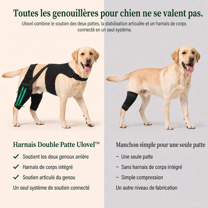 Genouillère double pour chien