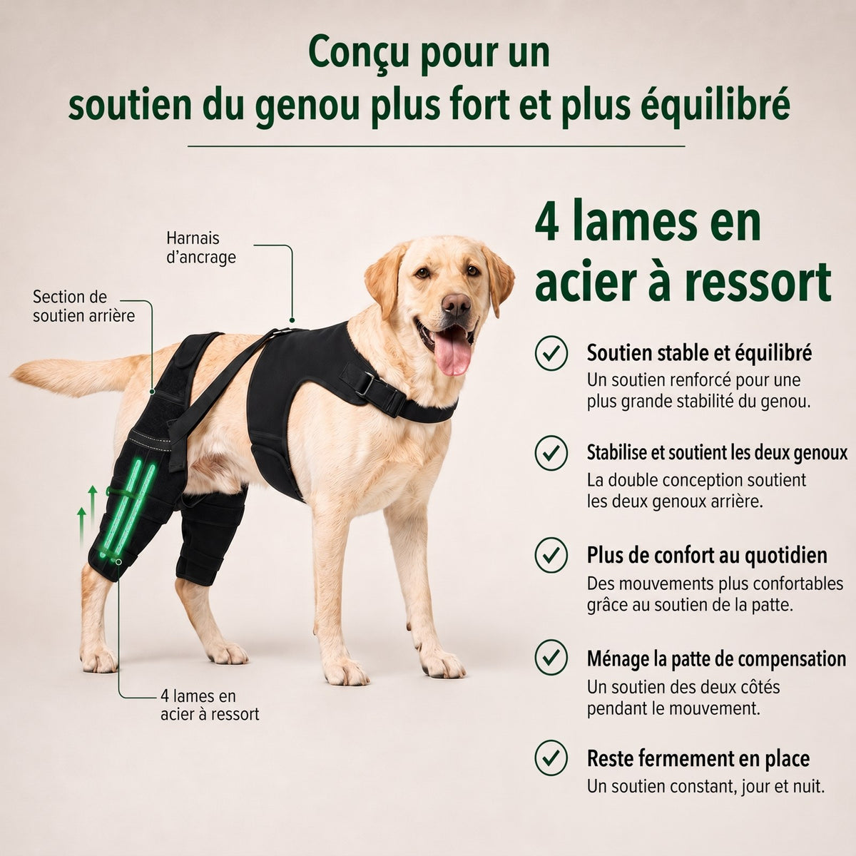 Genouillère double pour chien