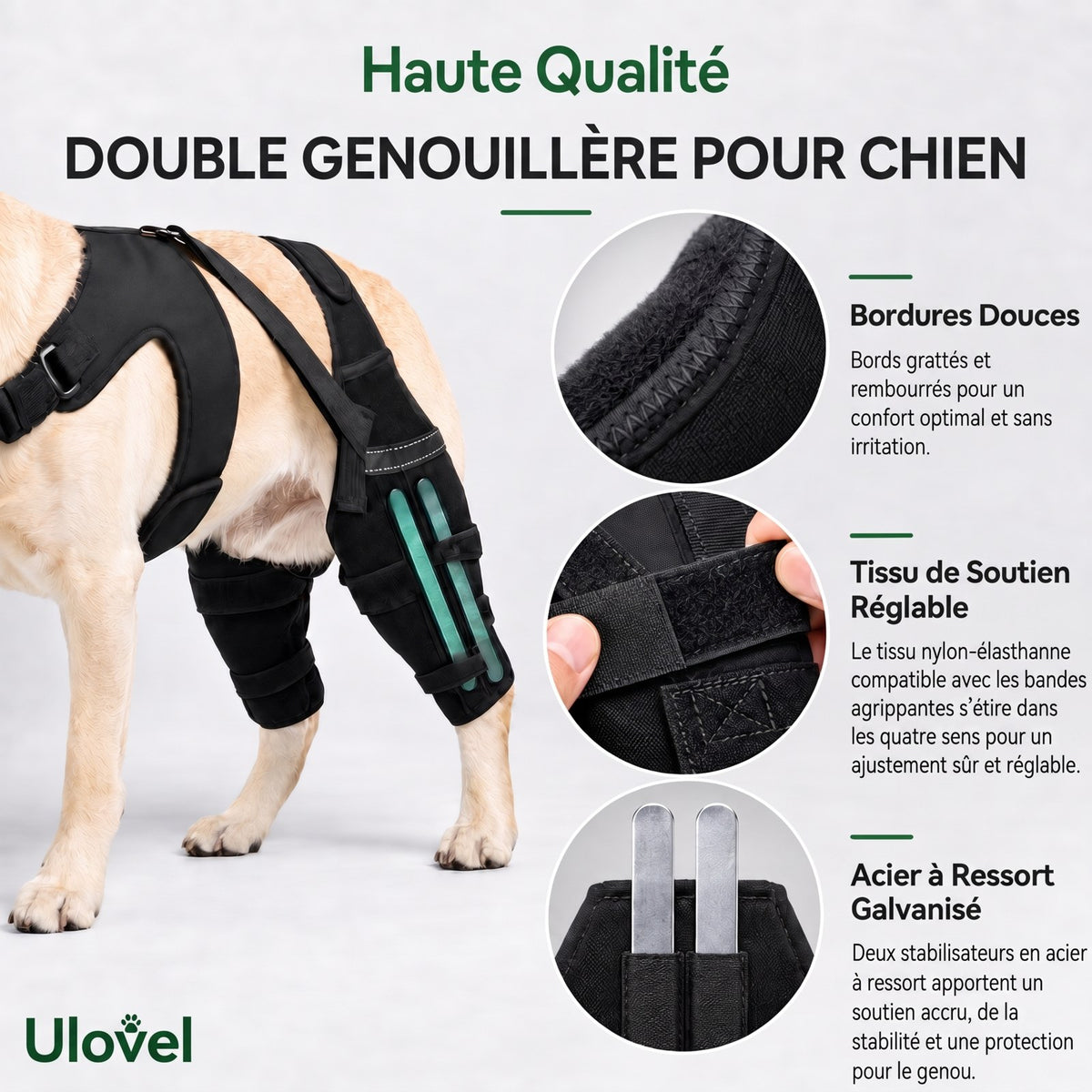 Genouillère double pour chien