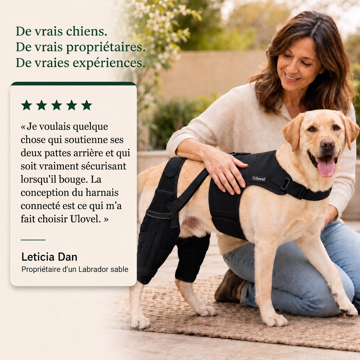 Genouillère double pour chien