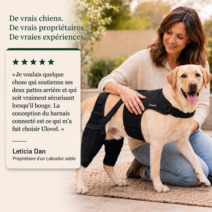 Genouillère double pour chien