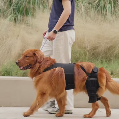 Genouillère double pour chien